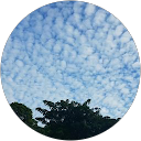 Ng Saing L. profile picture